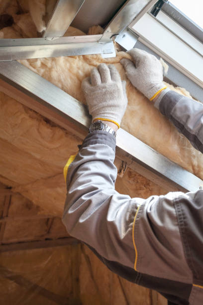 Best Insulation Maintenance and Repair in Conway Springs, KS